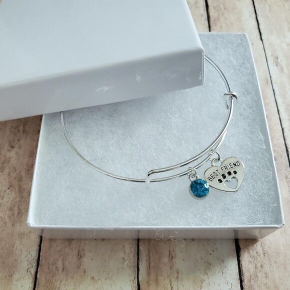 Best Friend Paw Print Charm Bracelet - Picture 6 of 11